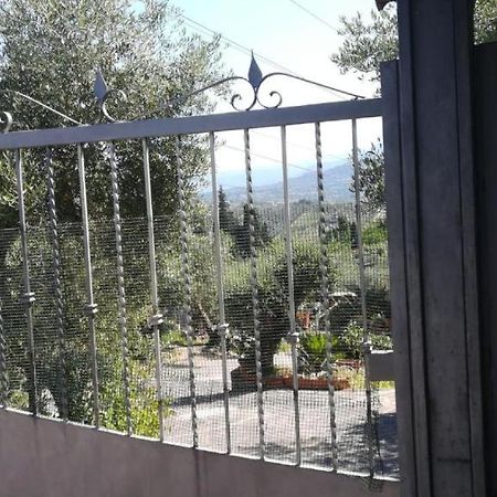 La casa tra gli ulivi di Fonte Nuova 1 Villa Esterno foto